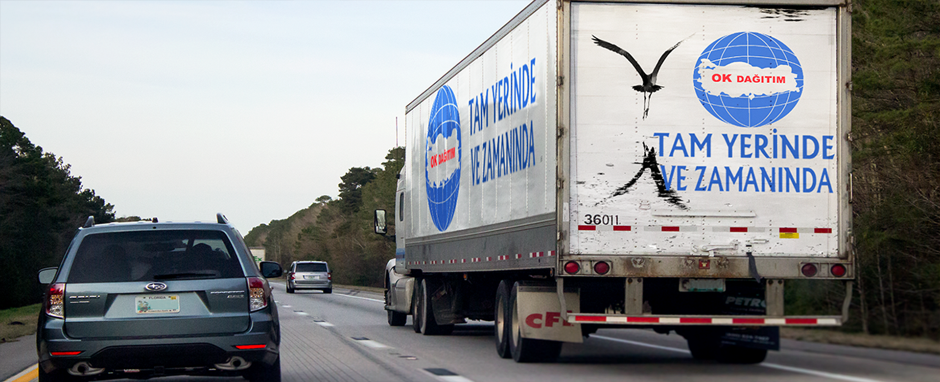 title_69ce8e982ac8c2663856451775144600